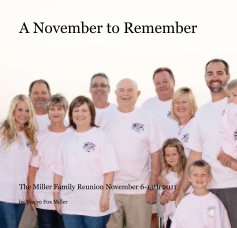 A November to Remember book cover