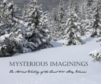 Mysterious Imaginings book cover
