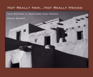 Not Really New...Not Really Mexico book cover