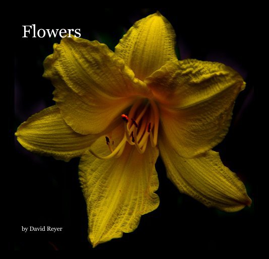 Ver Flowers por David Reyer