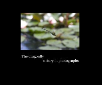 The dragonfly a story in photographs book cover