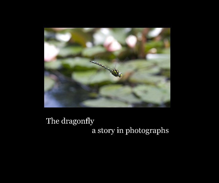 View The dragonfly a story in photographs by A. Smith