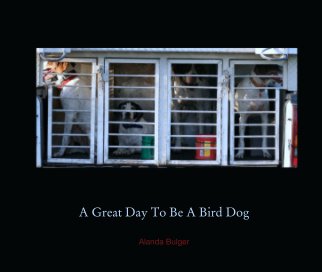 A Great Day To Be A Bird Dog book cover