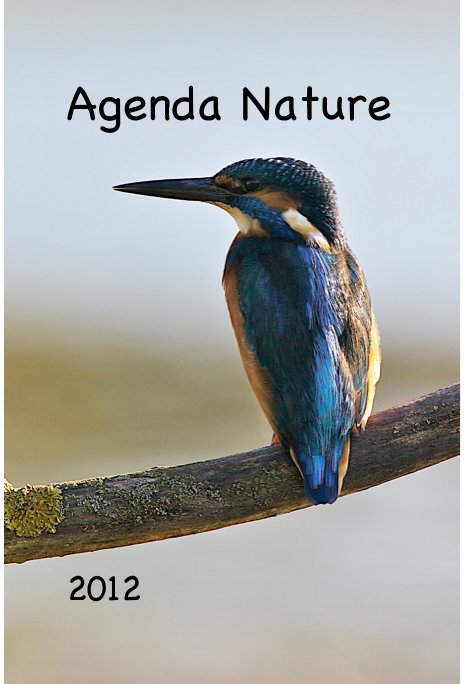 Ver Agenda Nature por 2012