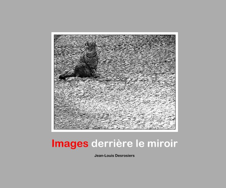 Bekijk Images derrière le miroir op Jean-Louis Desrosiers
