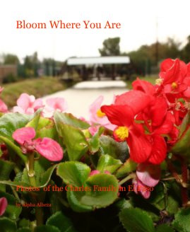 Bloom Where You Are book cover