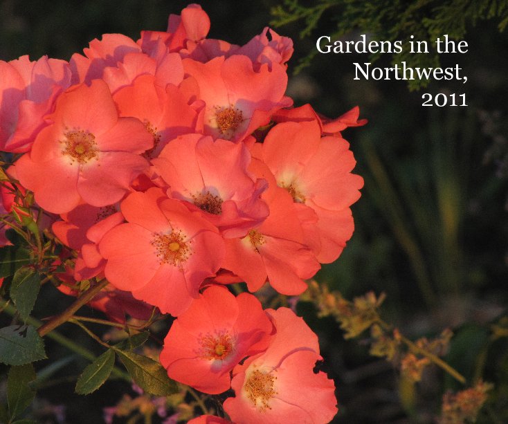 View Gardens in the Northwest, 2011 by Eric Hadley-Ives
