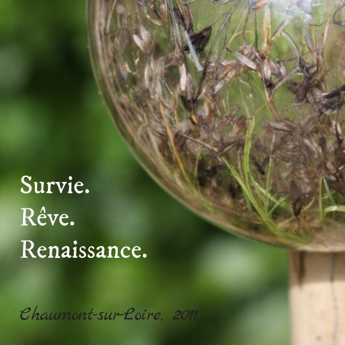 View Survie. Rêve. Renaissance. by Thierry Carrez