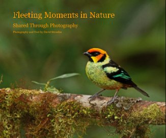 Fleeting Moments in Nature (10x8) book cover