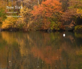 New York:  Autumn book cover