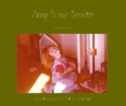 Amy Burke Bessette book cover