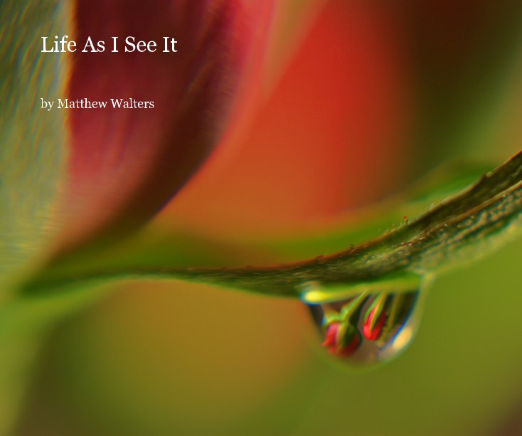 View Life As I See It by Matthew Walters