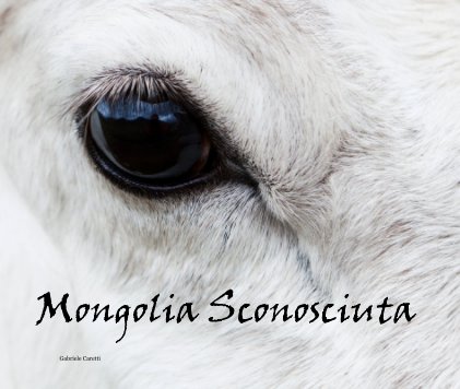 Mongolia Sconosciuta book cover