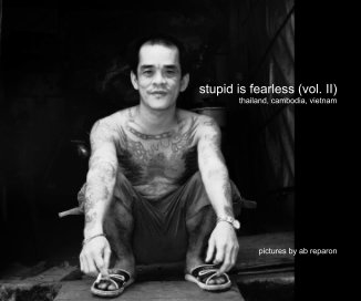stupid is fearless (vol. II) thailand, cambodia, vietnam pictures by ab reparon book cover