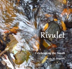 Rivulet book cover