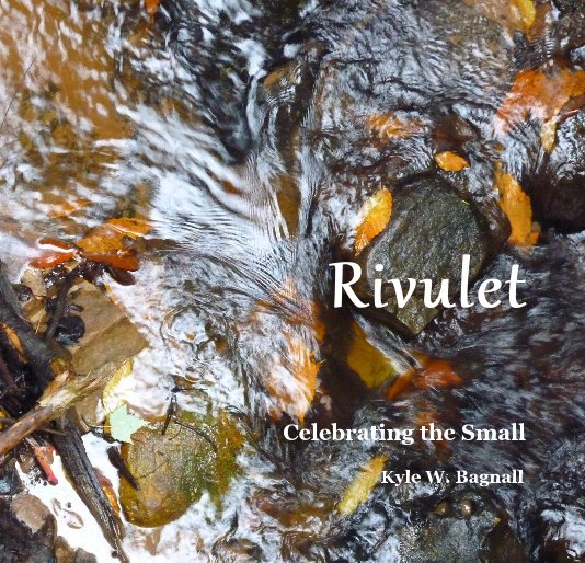 View Rivulet by Kyle W. Bagnall