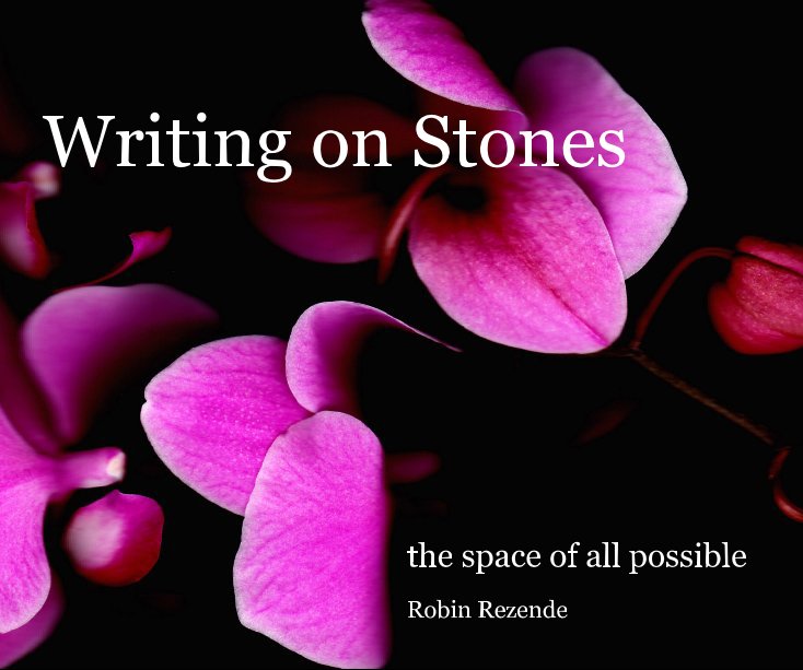 View Writing on Stones by Robin Rezende