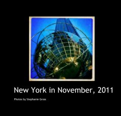 New York in November, 2011 book cover