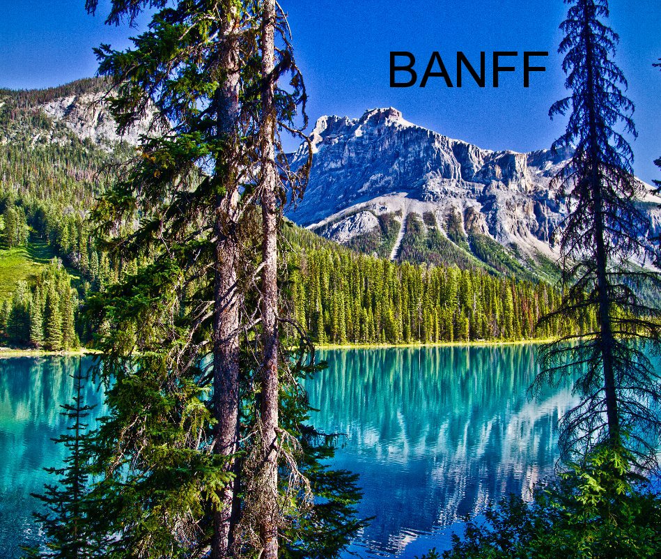 View BANFF by baileysan
