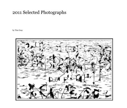 2011 Selected Photographs book cover