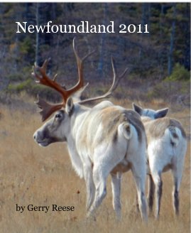 Newfoundland 2011 book cover