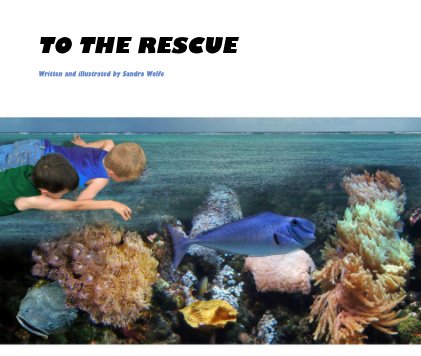 TO THE RESCUE book cover