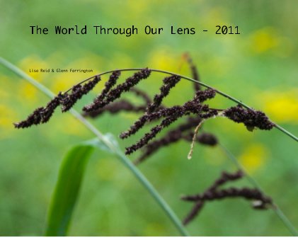 The World Through Our Lens - 2011 book cover