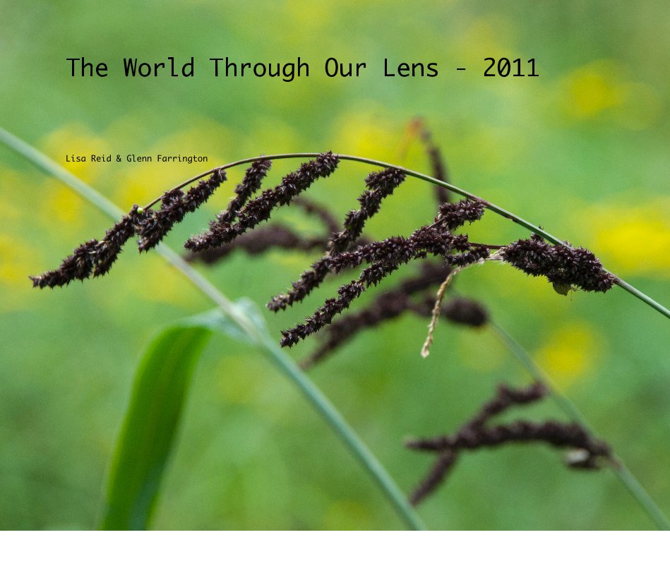 Visualizza The World Through Our Lens - 2011 di Lisa Reid & Glenn Farrington