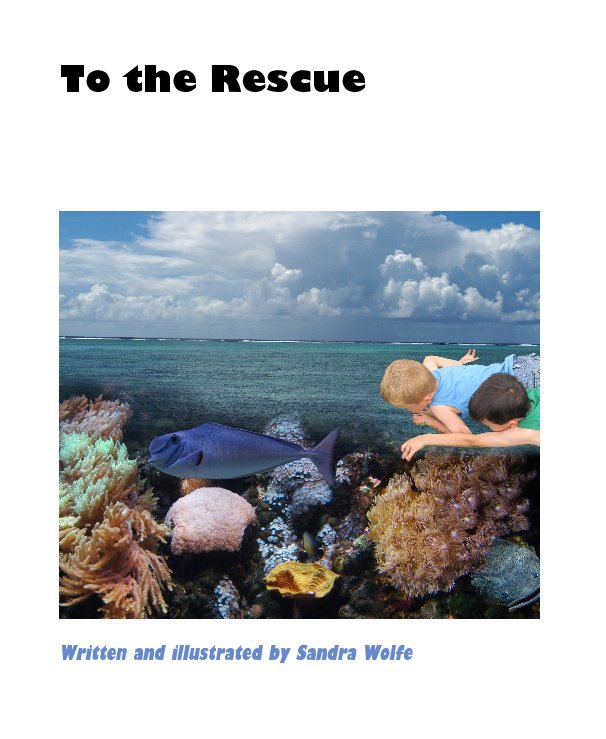 Ver To the Rescue por Written and illustrated by Sandra Wolfe