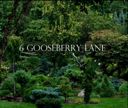 6 Gooseberry Lane book cover