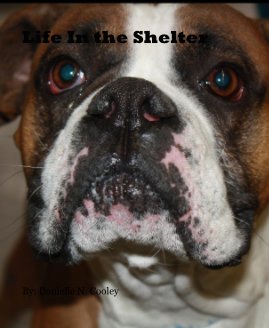 Life In the Shelter book cover