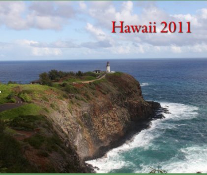 Hawaii 2011 book cover
