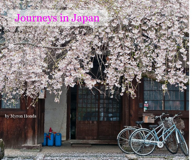 View Journeys in Japan by Myron Honda