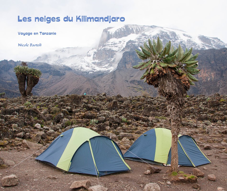 View Les neiges du Kilimandjaro by Nicole Bartoli