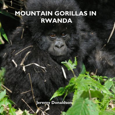 MOUNTAIN GORILLAS IN RWANDA book cover
