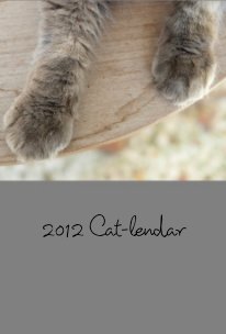 2012 Cat-lendar book cover