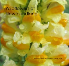 Wildflowers of Newfoundland book cover