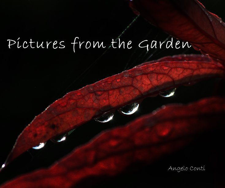 View Pictures from the Garden by Angelo Conti
