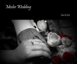 Mesler Wedding book cover