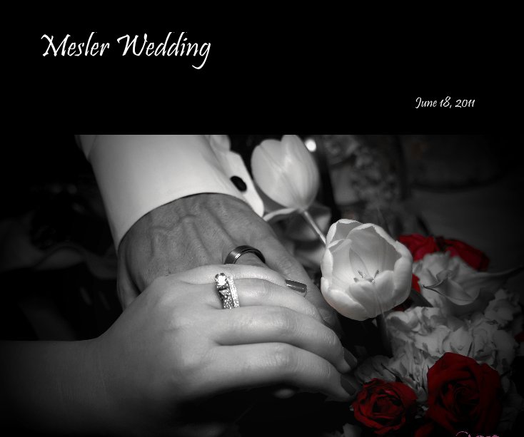 Visualizza Mesler Wedding di June 18, 2011