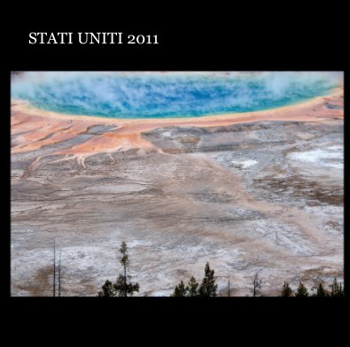 STATI UNITI 2011 book cover