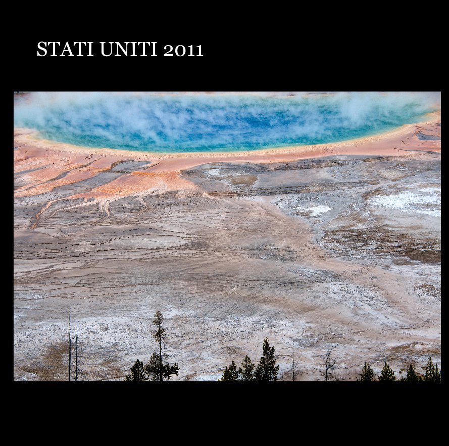 View STATI UNITI 2011 by RICAFF