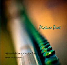 Picture Poet book cover