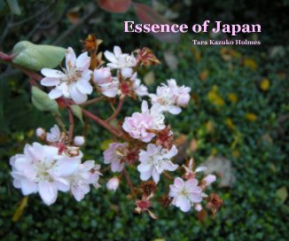 Essence of Japan book cover