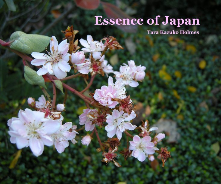 Essence of Japan nach Tara Kazuko Holmes anzeigen