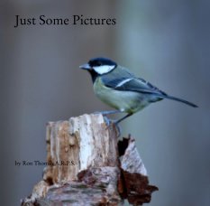 Just Some Pictures book cover