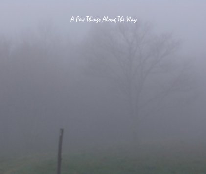 A Few Things Along The Way book cover