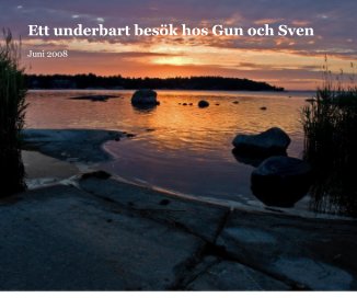Ett underbart besÃ¶k hos Gun och Sven book cover