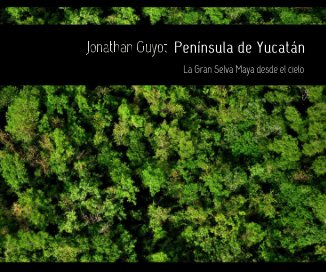 Península de Yucatán book cover