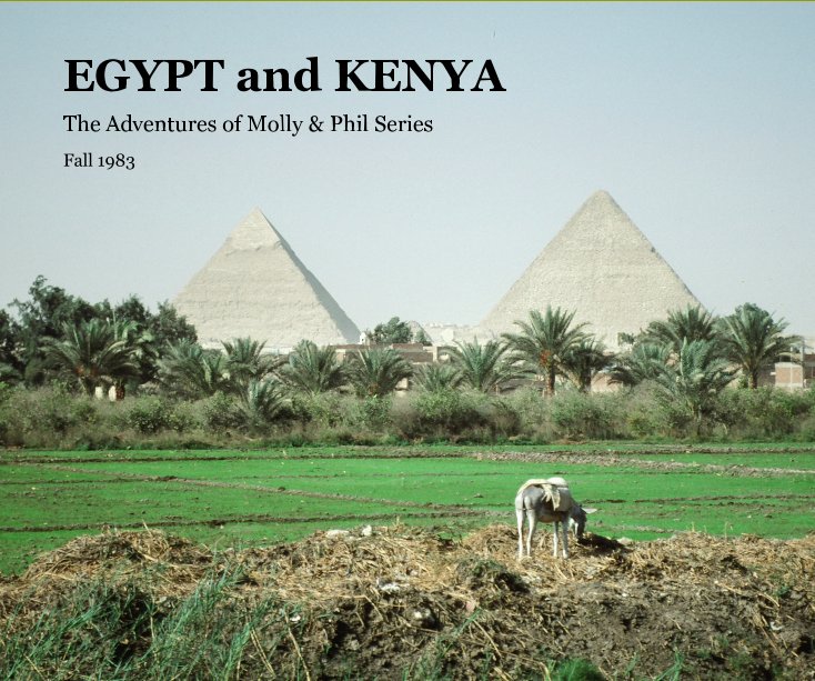 View EGYPT and KENYA by Fall 1983